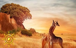 تور گروهی آفریقای جنوبی آبان 1404